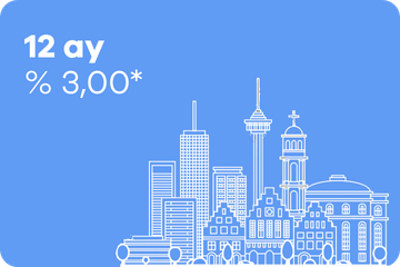 18 ay vadeli mevduat – % 3,00